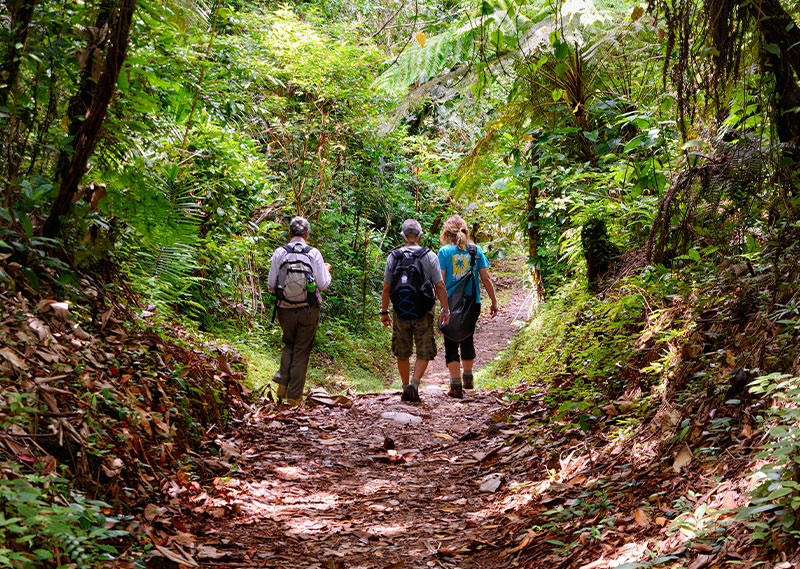 Belize Hiking Tour