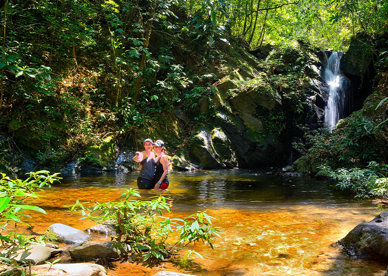 Belize Jungle Adventure Tours