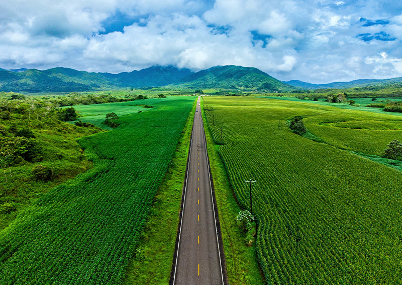 Getting to Hopkins Belize