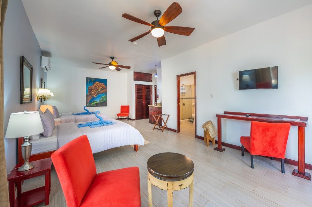 Hopkins Belize Oceanfront Suites