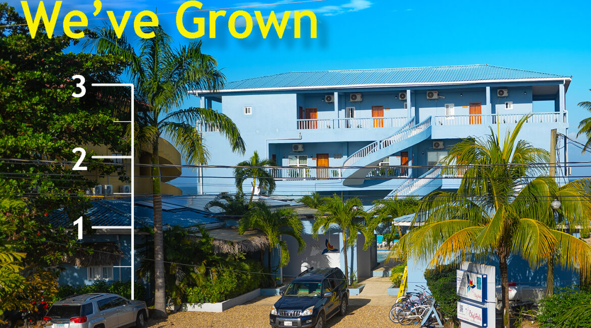We've Grown at Parrot Cove Ledge